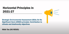 Video | SEA; DNSH principle; Contribution to climate and biodiversity objectives. Mate Tas, DG Regio