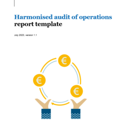 Audit of operations report template